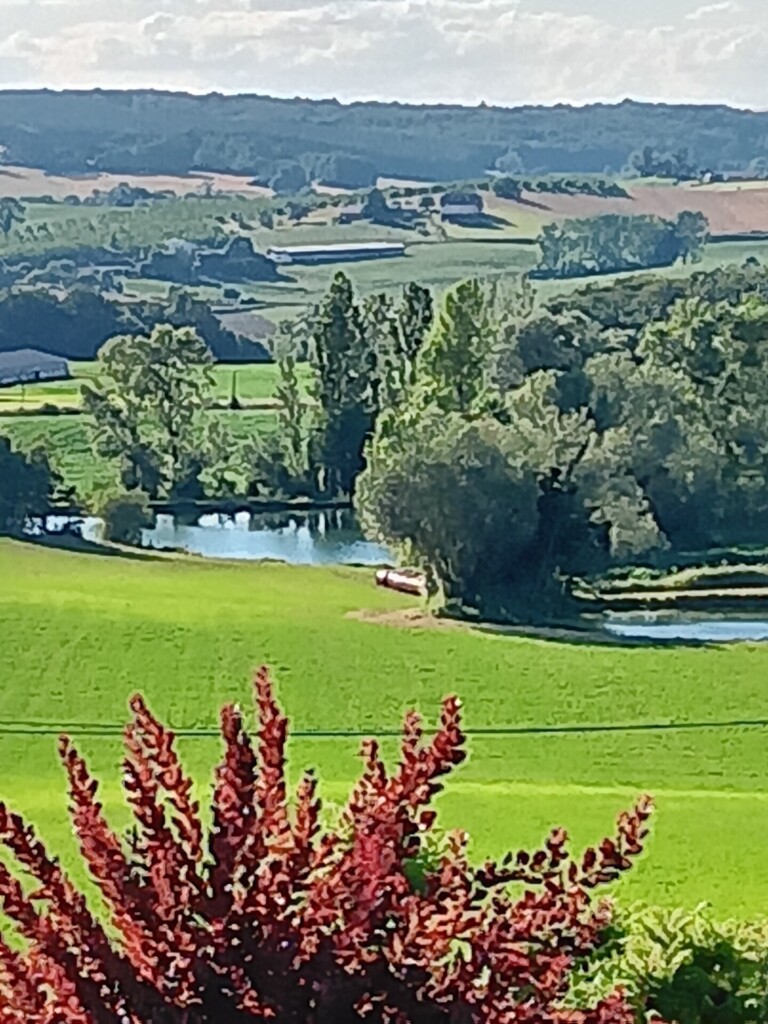 21a  768x1024