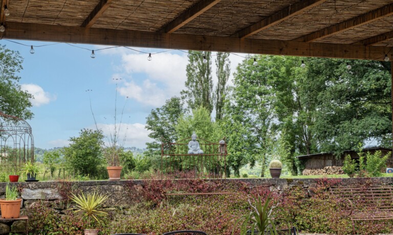 IMG 1046 768x461