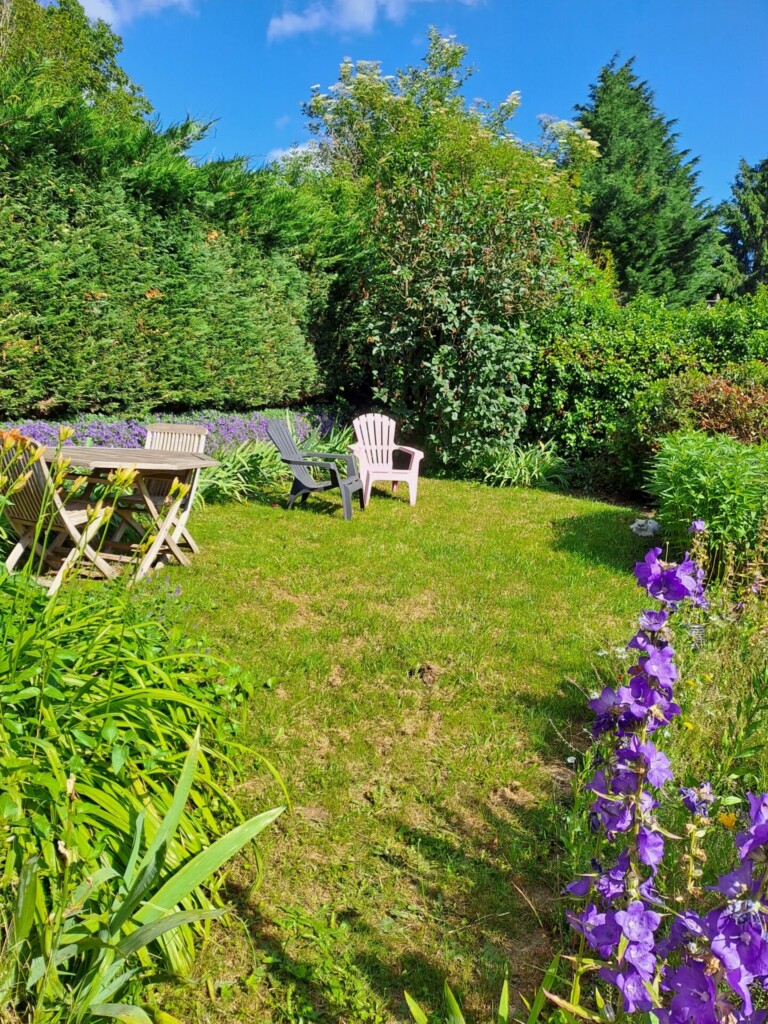 jardin 1 768x1024