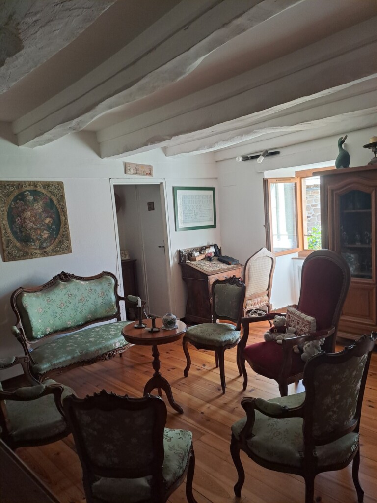 salon 1 768x1024