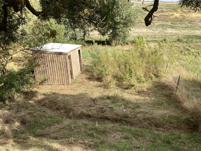 Bergerie 1 768x576