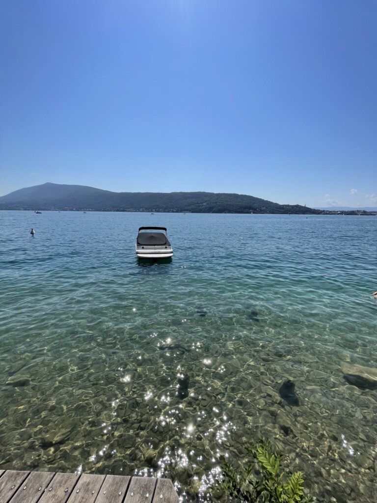 IMG 0553 768x1024