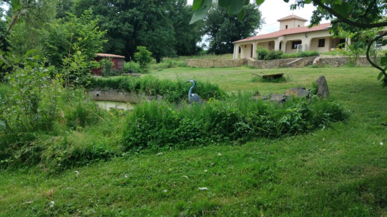 IMG 20250526 141513 1 768x432
