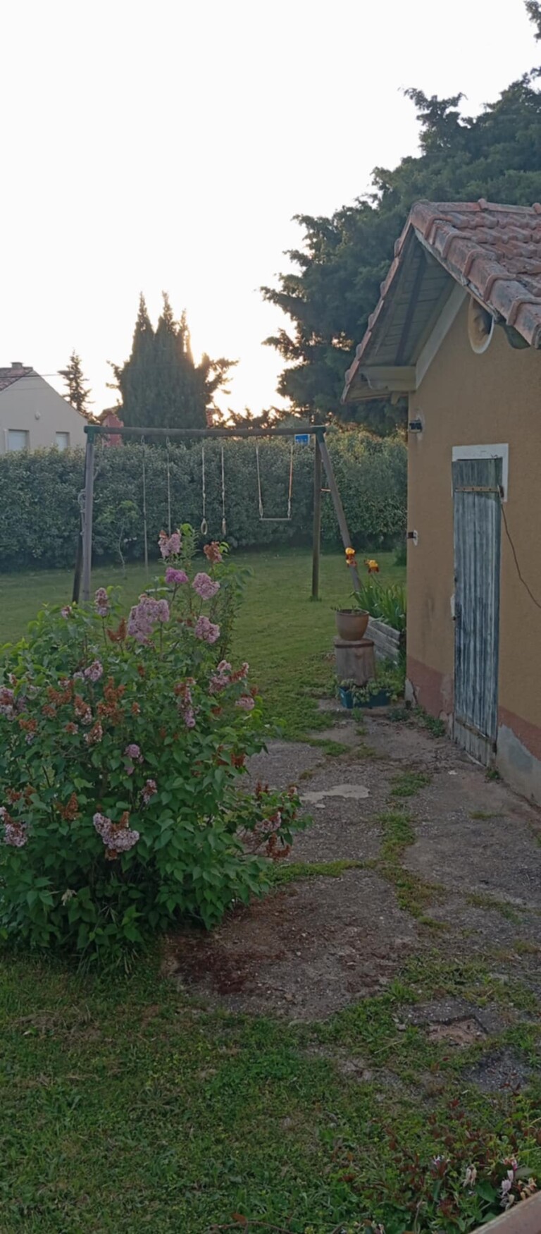 jardin 768x1750