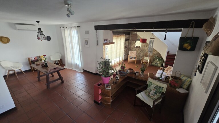 Grand salon et salle a manger