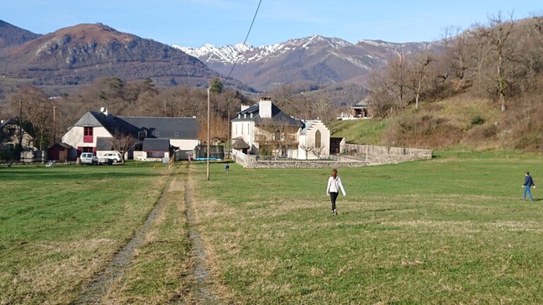 DSC 0165 768x432