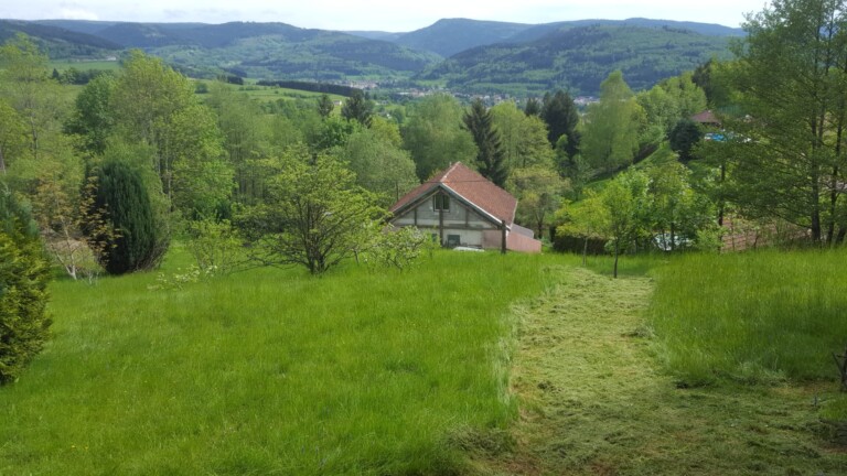 IMG 20250119 WA0011 768x432