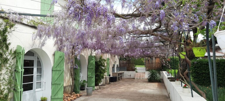 Terrasse de 150 m2 côté sud
