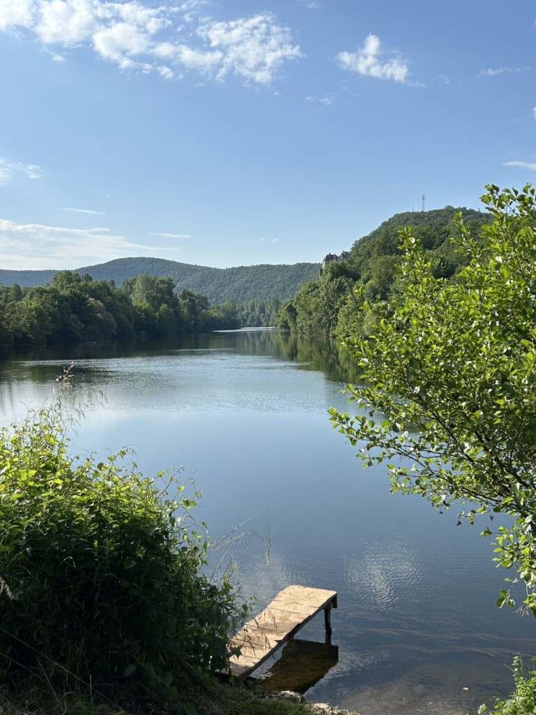 Our fav walk down the river 768x1024