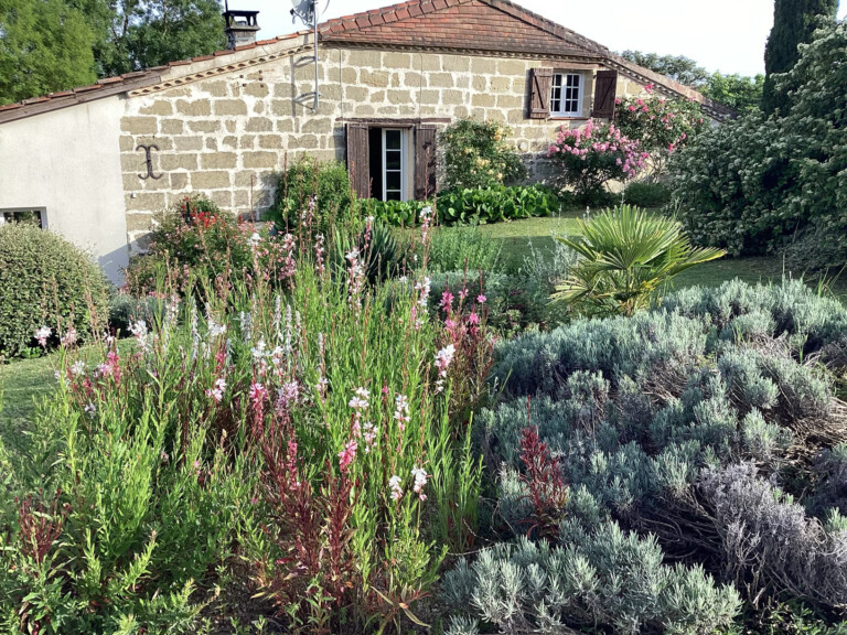 Garden Sm 768x576