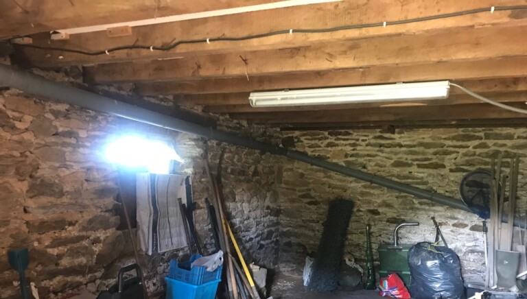 IMG 9066 1 768x436