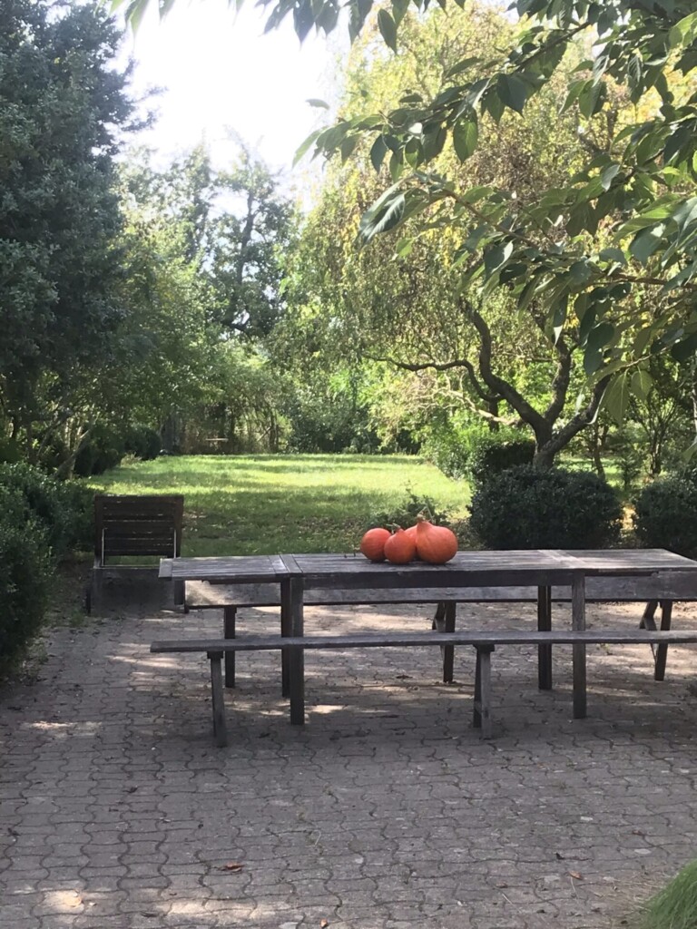 Vue sur le jardin