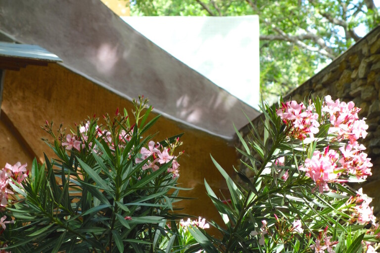 DSC00864 768x512