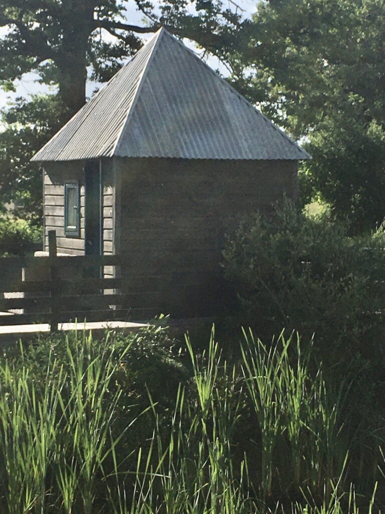 Cabane
