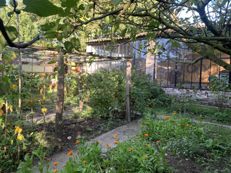 jardin potager