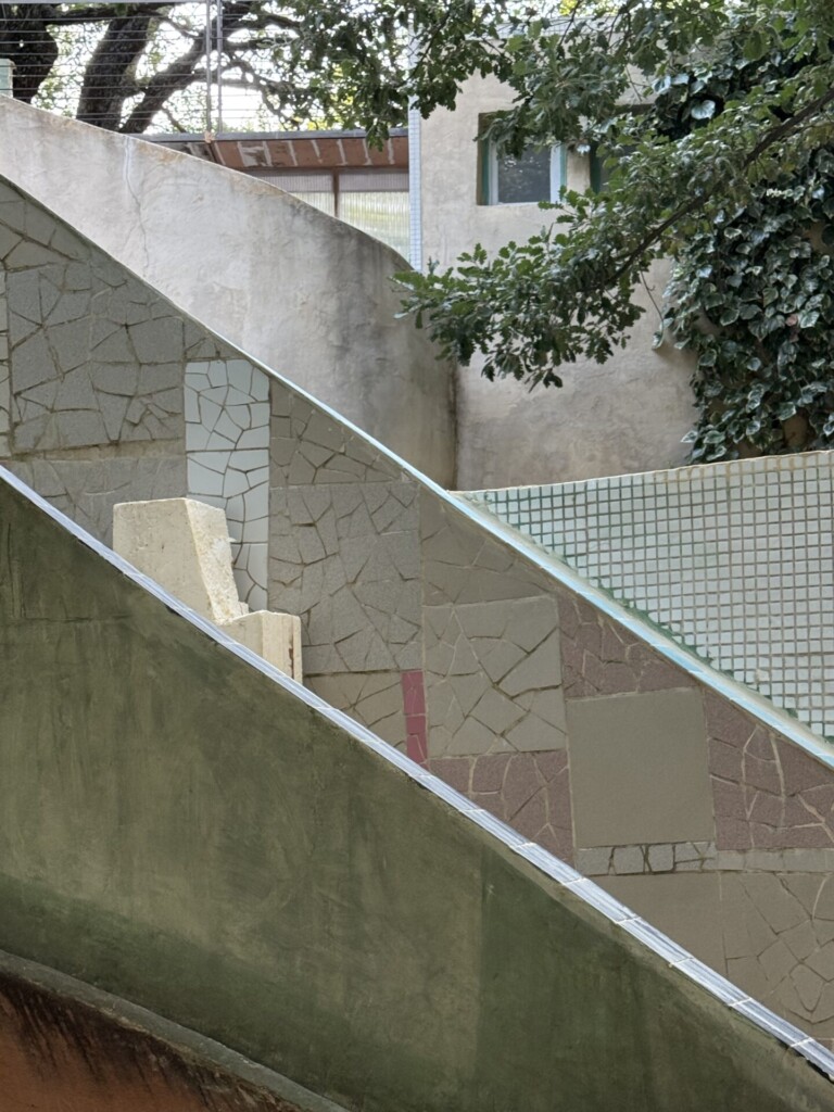 IMG 3654 768x1024