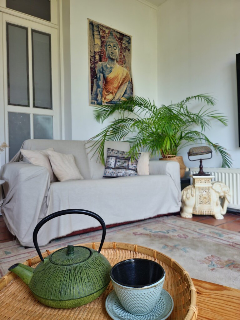 salon tv 768x1024