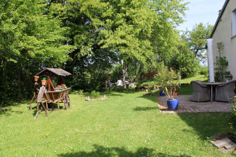 IMG 0899 kopie 768x512