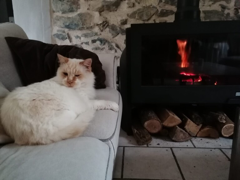 Partie privee 8 768x576