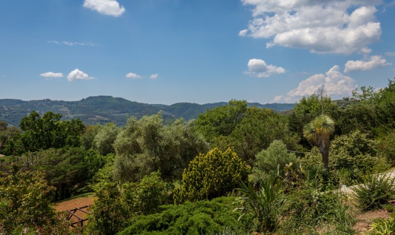 View S 768x458