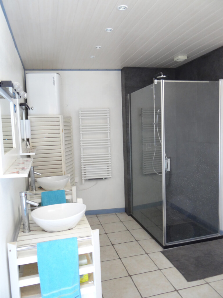 4 Salle deau donnant sur piece a vivre 768x1024