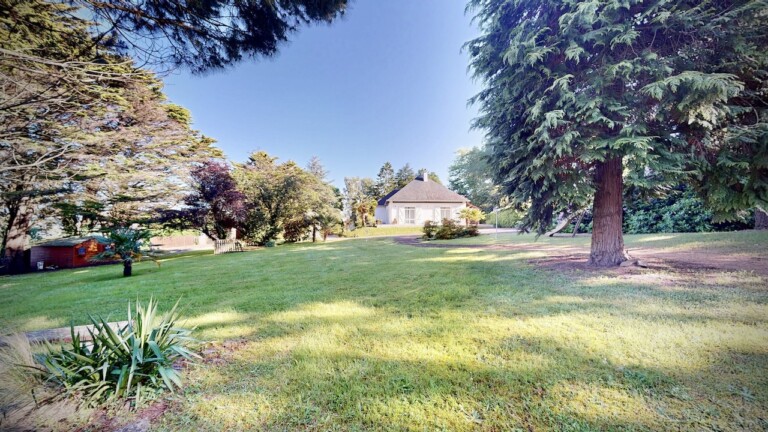 IMG 0139 768x432