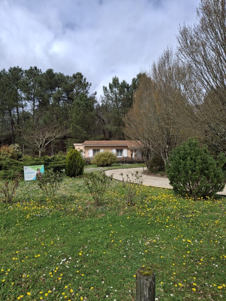 1000023592 768x1024