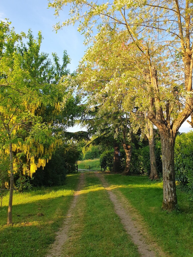F.20250509 194229 768x1023