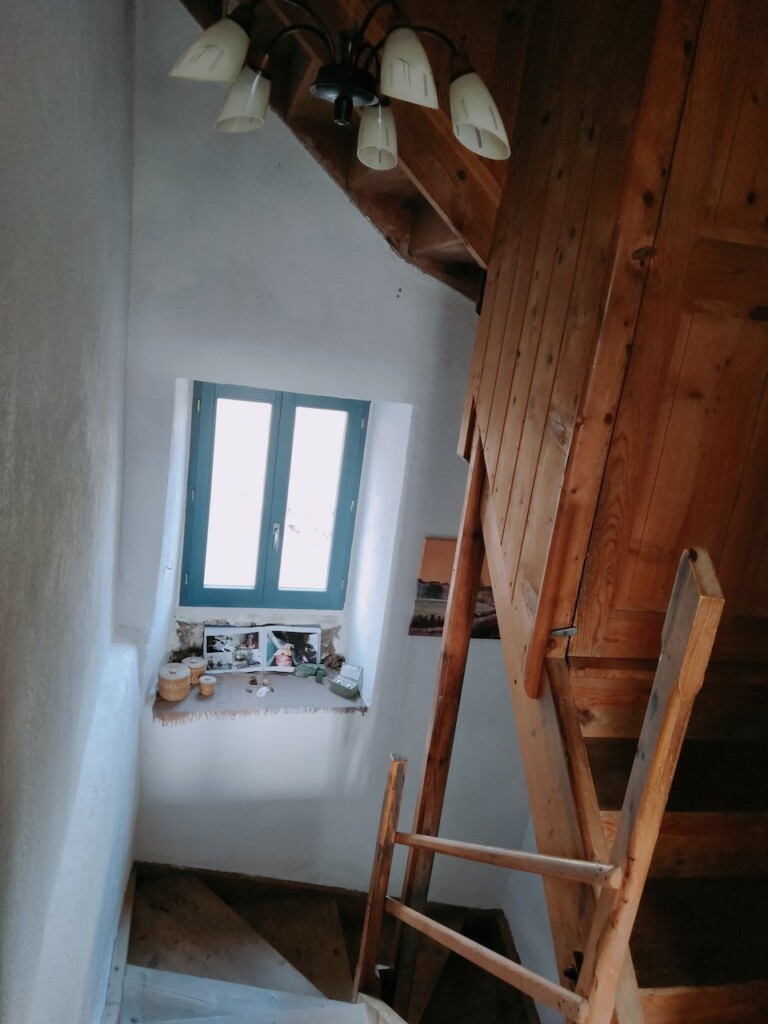 IMG20250320085016 768x1024