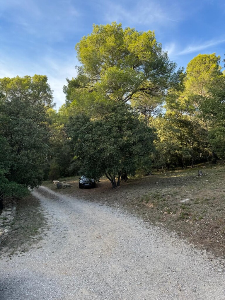 IMG 1163 768x1024