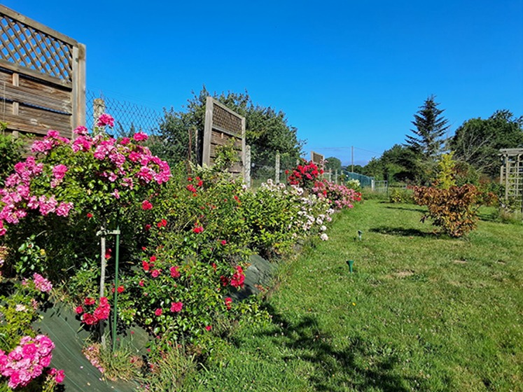 Jardin