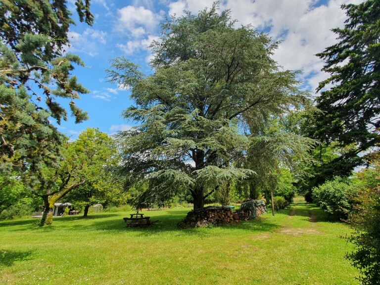 XtraFotoPark 768x576