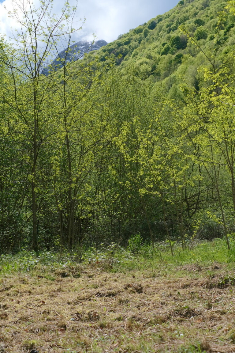 maison prairie 768x1152