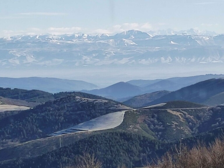 1000012627 copy 768x575
