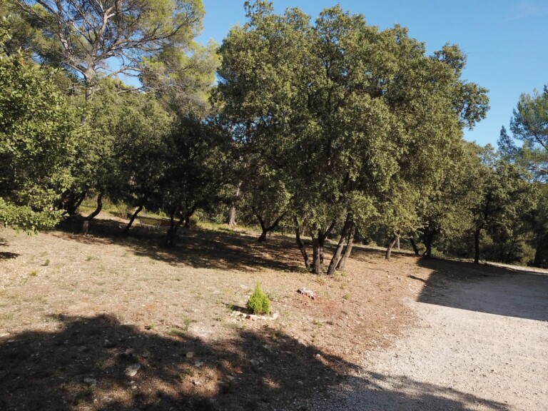 IMG 1538 768x576