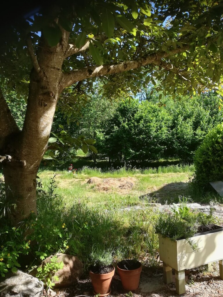 IMG 20220516 164957 768x1024