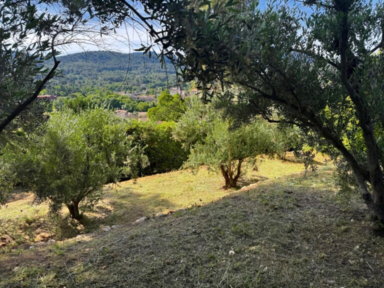 photo 1 768x576